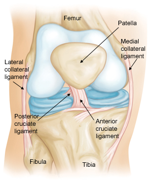 knee replacement omaha ne dr keiser