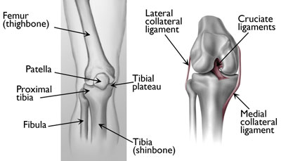 Fractures of the Proximal Tibia (Shinbone) | Omaha, Ne